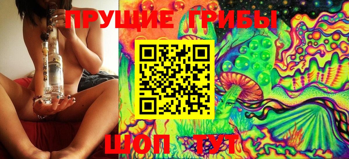 Галлюциногенные грибы Cubensis Гусиноозёрск