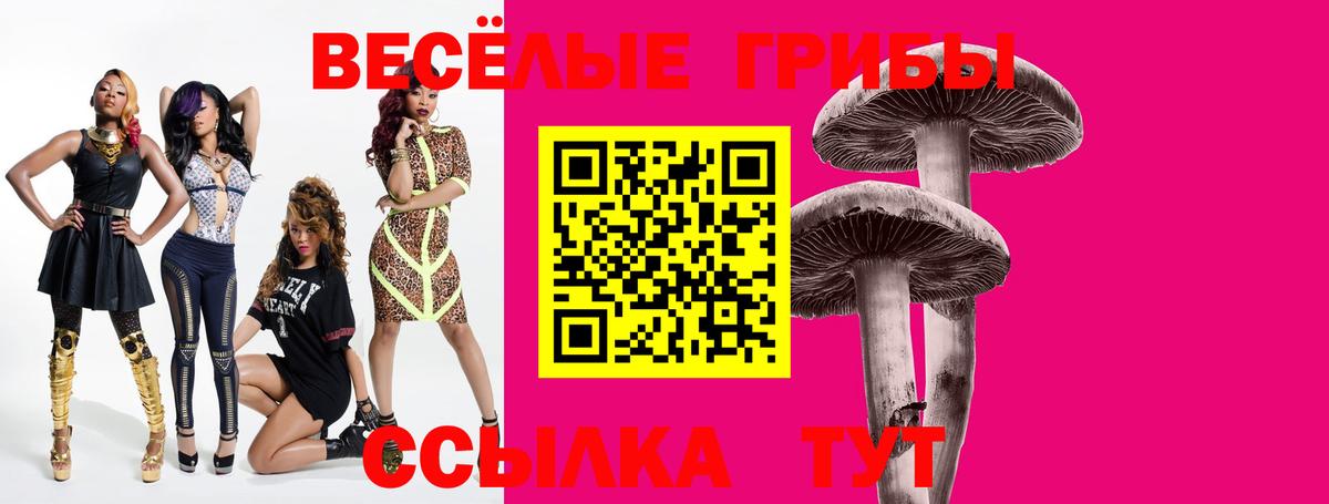 закладка  Псилоцибиновые грибы Cubensis  Гусиноозёрск  Вход с VPN  Псилоцибиновые грибы Magic Shrooms 