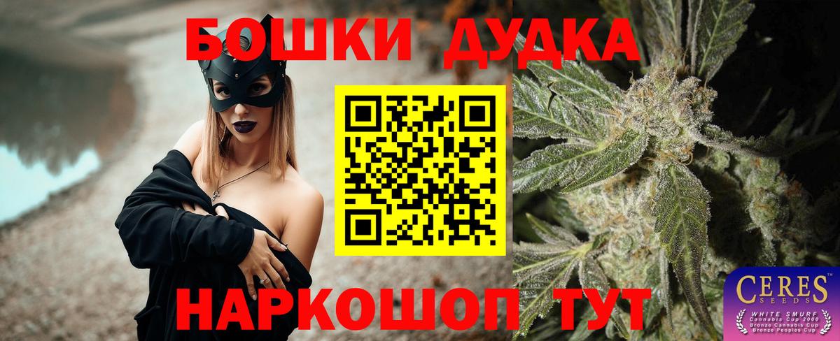 Конопля гибрид Гусиноозёрск